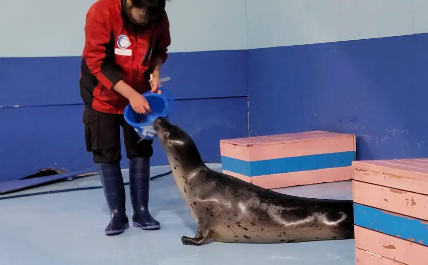 伊勢シーパラダイス